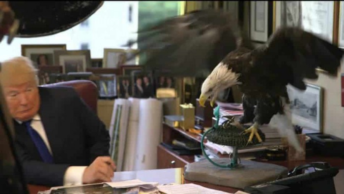 Donald Trump attacked by Eagle