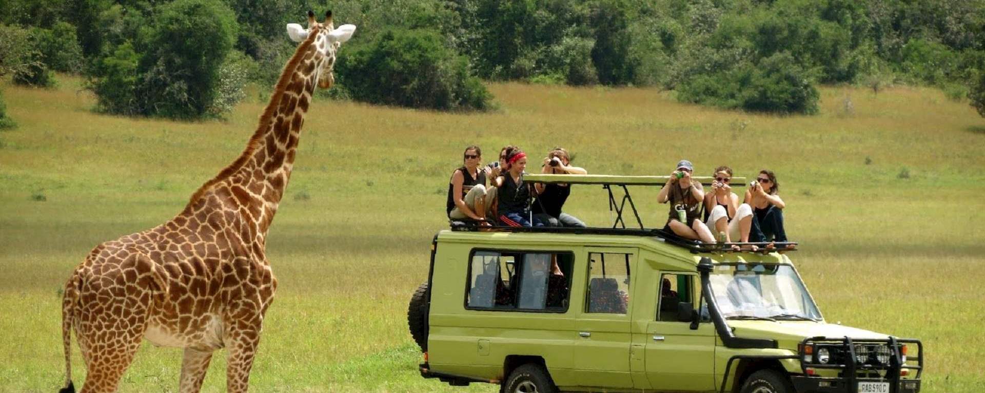 Tips For Doing A Tanzania Safari In Africa