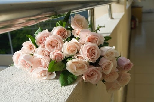 Romantic Flowers for Romantic Occasions