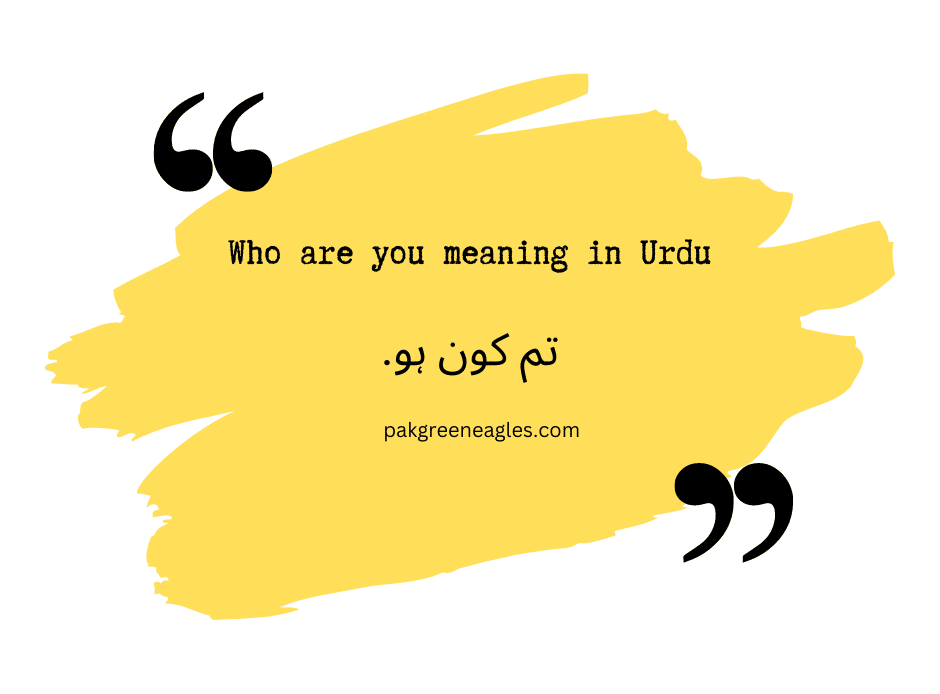 Who Was There For You Meaning In Urdu