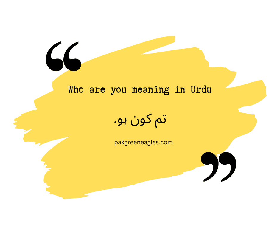 You Meaning In Urdu