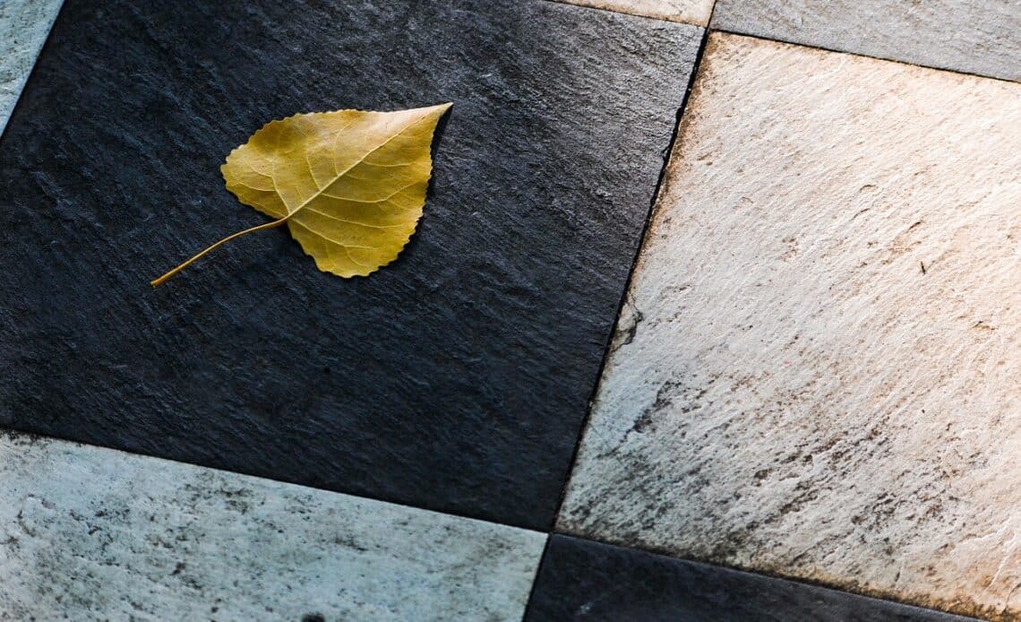 leaf, tiles, floor-4470075.jpg